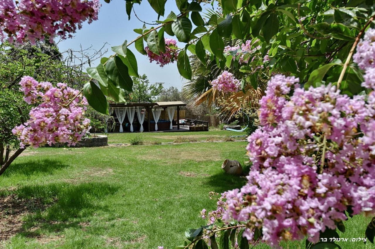 Golana Βίλα Rosh Pinna Εξωτερικό φωτογραφία